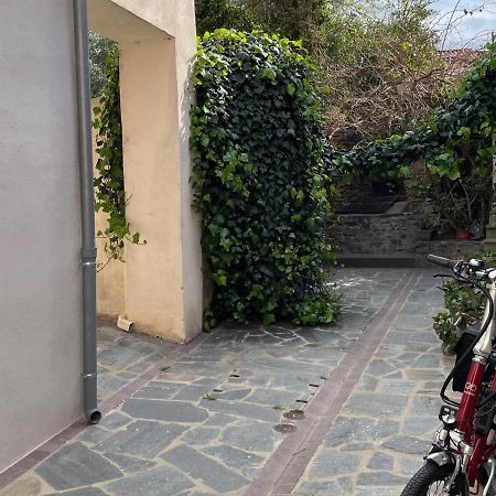 Studio Cabine A Collioure, A 100M De La Plage Et Des Commerces - Fr-1-309-153 المظهر الخارجي الصورة