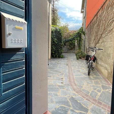 Studio Cabine A Collioure, A 100M De La Plage Et Des Commerces - Fr-1-309-153 المظهر الخارجي الصورة