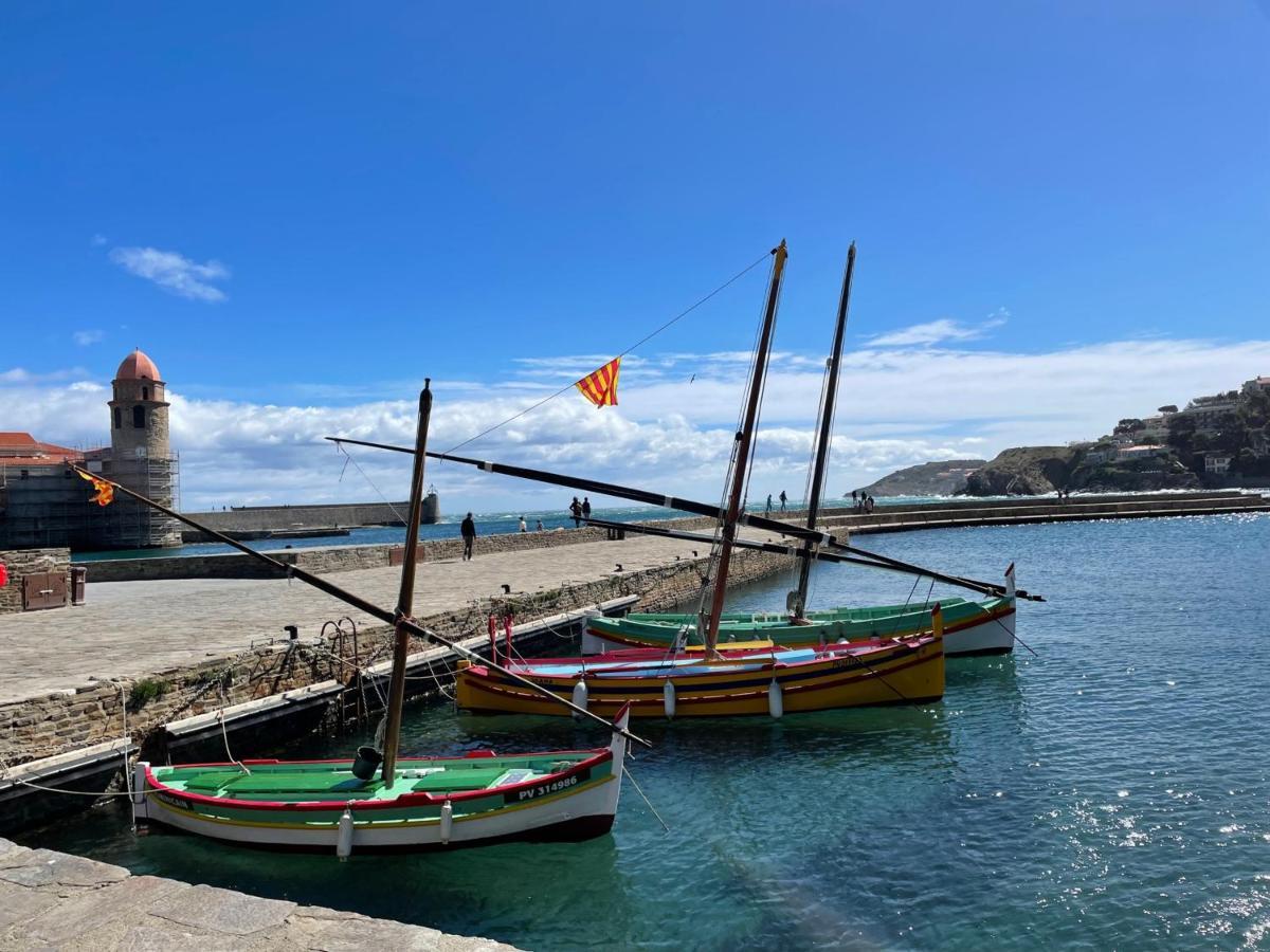 Studio Cabine A Collioure, A 100M De La Plage Et Des Commerces - Fr-1-309-153 المظهر الخارجي الصورة
