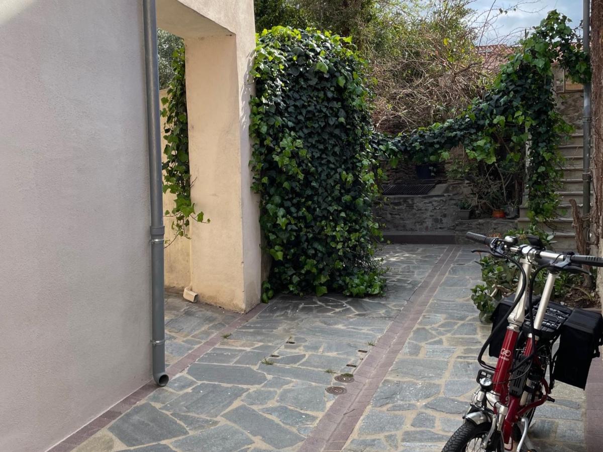 Studio Cabine A Collioure, A 100M De La Plage Et Des Commerces - Fr-1-309-153 المظهر الخارجي الصورة