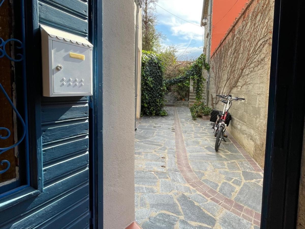 Studio Cabine A Collioure, A 100M De La Plage Et Des Commerces - Fr-1-309-153 المظهر الخارجي الصورة